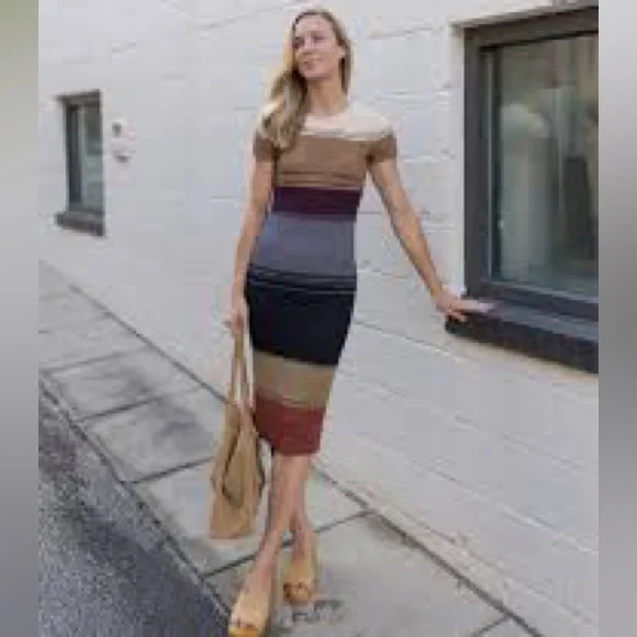 STAUD Colleen Colorblock Rib Sweater Dress Sahara Stripe Striped Midi Bodycon M - Picture 1 of 9